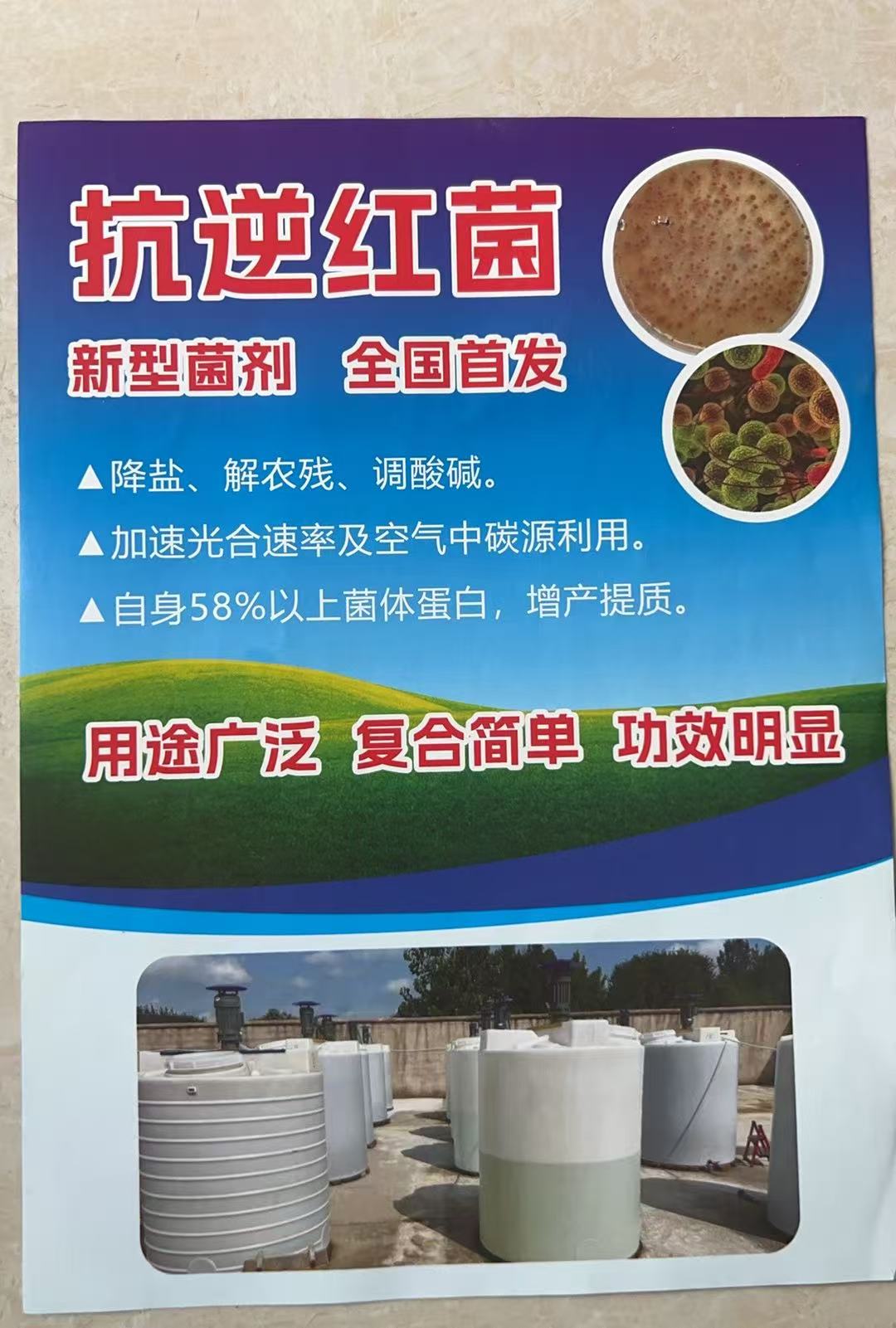 抗逆红菌宣传资料